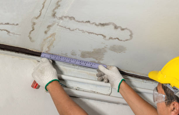 Reliable Basement Water Removal contractor in Ridgely, TN by Water Damage Irwin